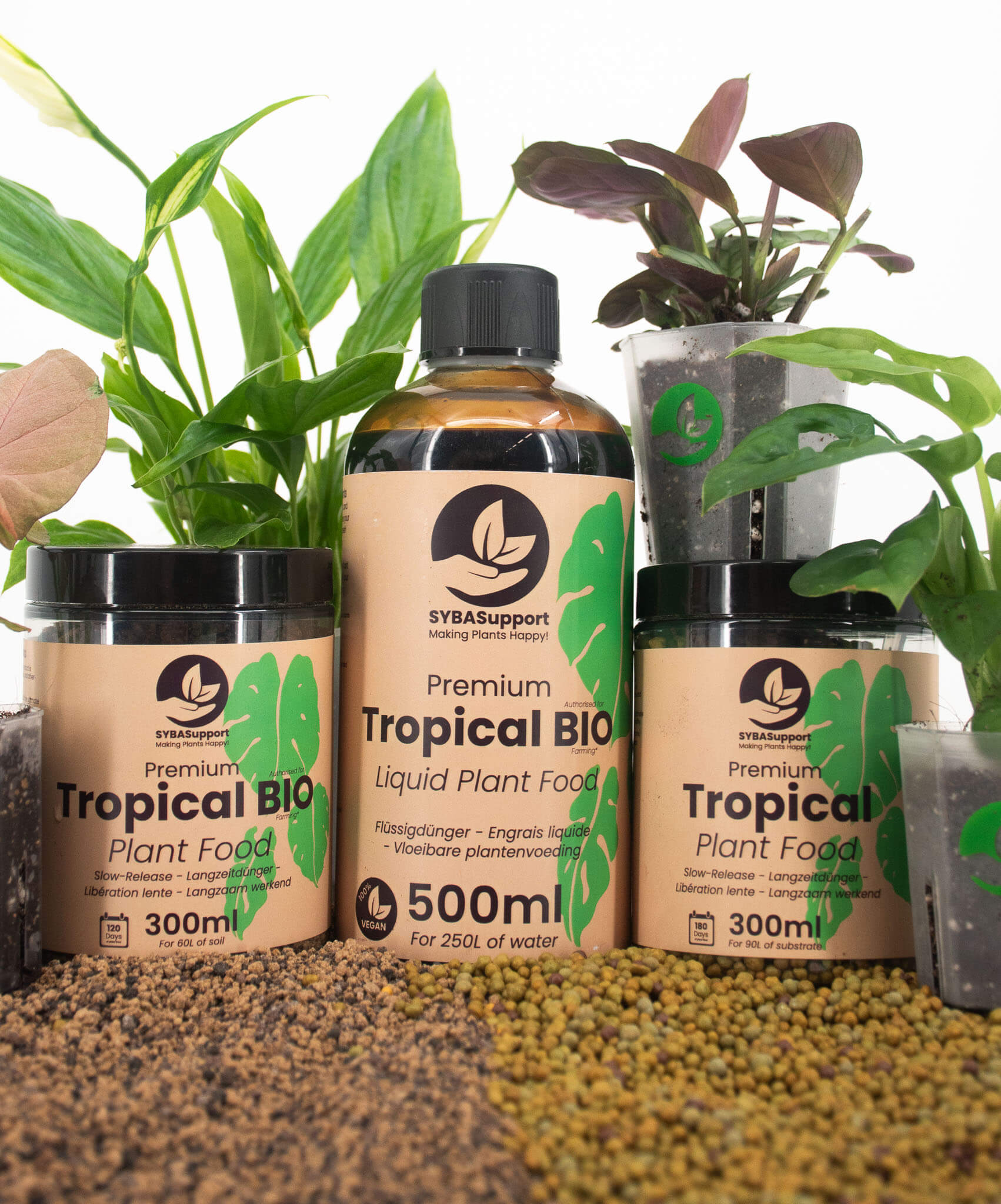 Palmen Dnger kaufen?   SYBASupport   Sybotanica