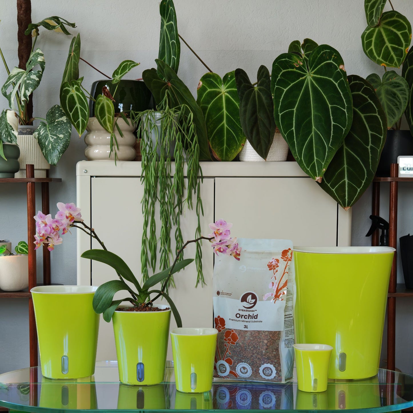 Mistura Mineral Para Orquídeas