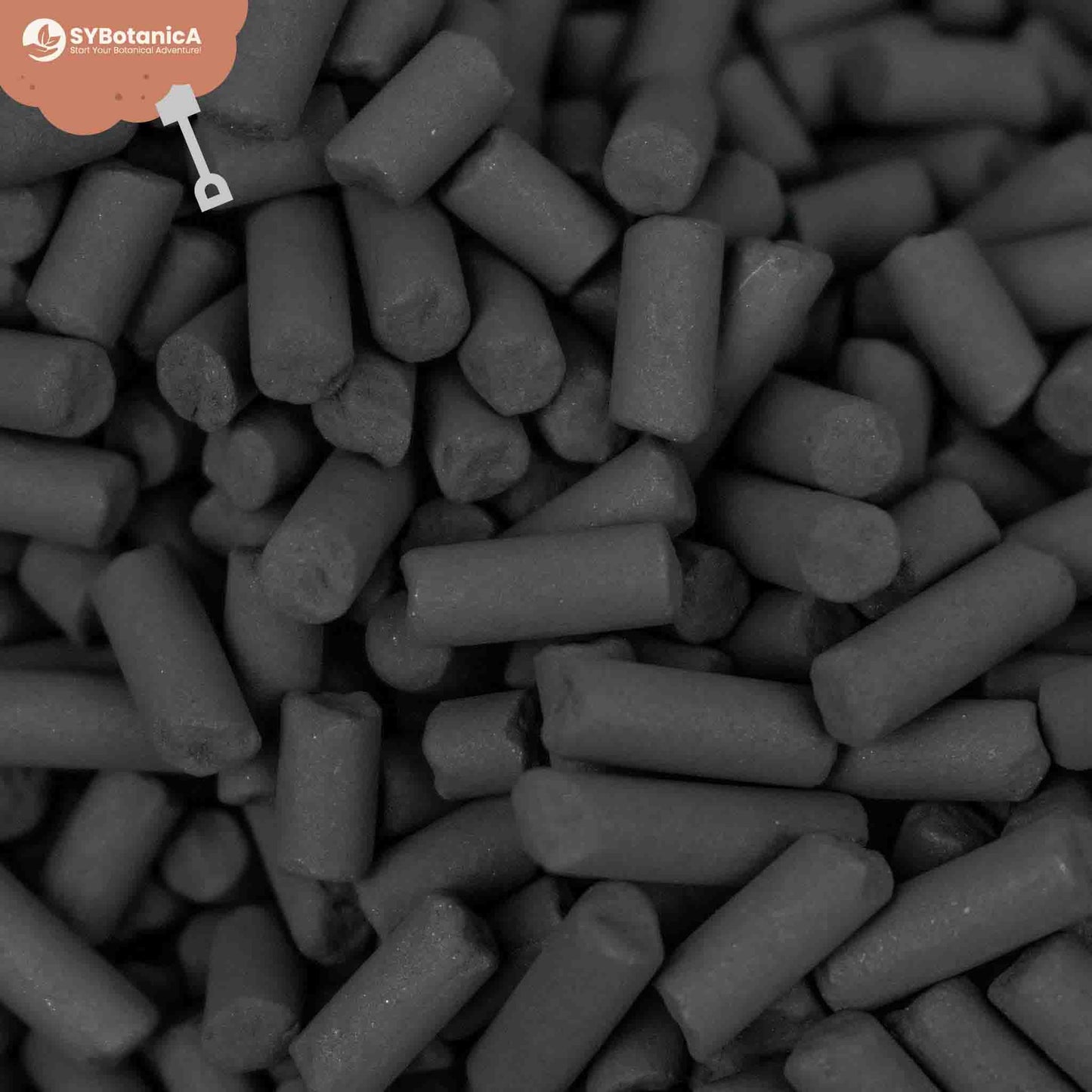 Activated Carbon