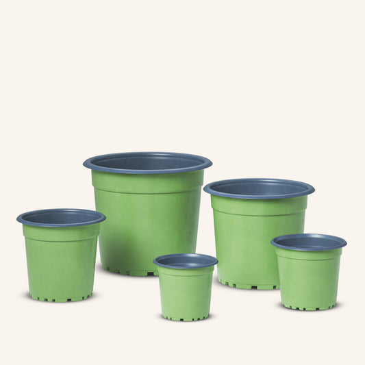 Five green plastic nursery pots with grey rims, varying sizes, green nursery pot