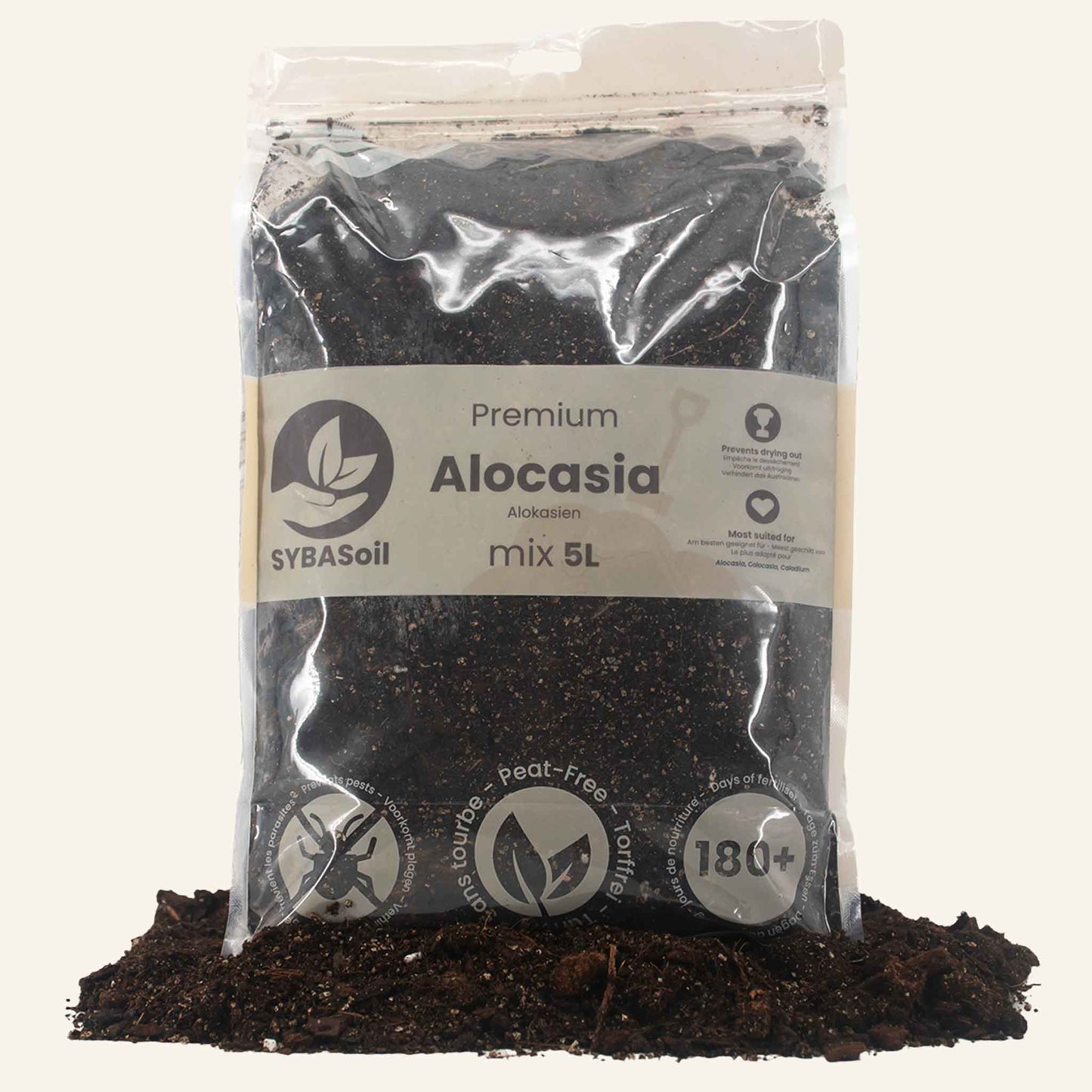 Alocasia Soil