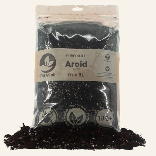 Aroid Mix