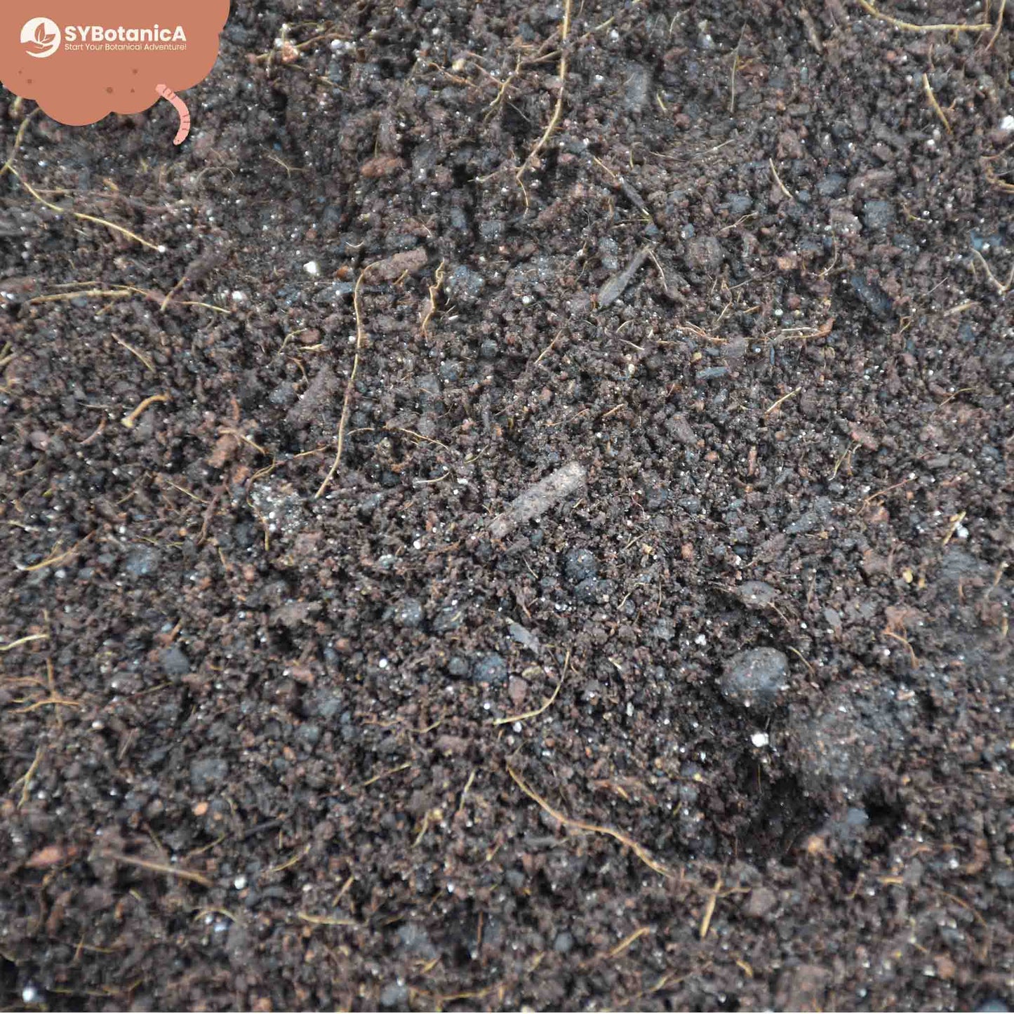 Substrato para Básico