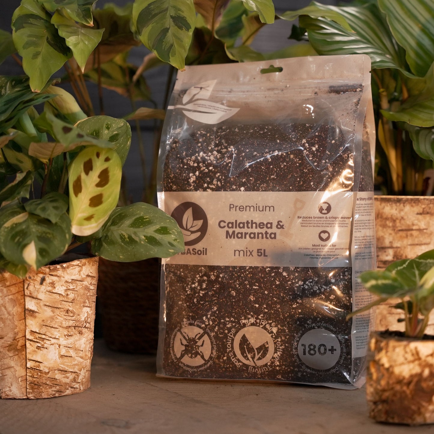 Pacchetto benvenuto Giungla tropicale