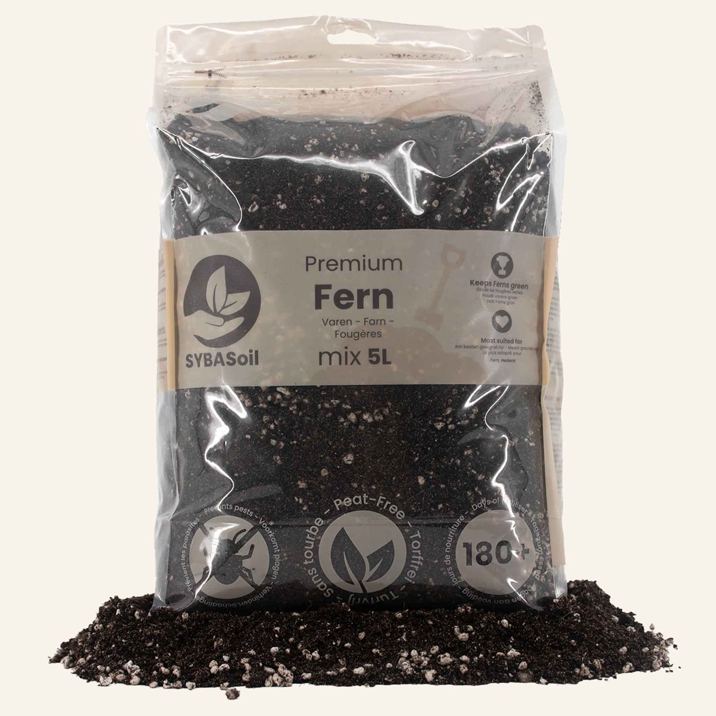 Fern Mix