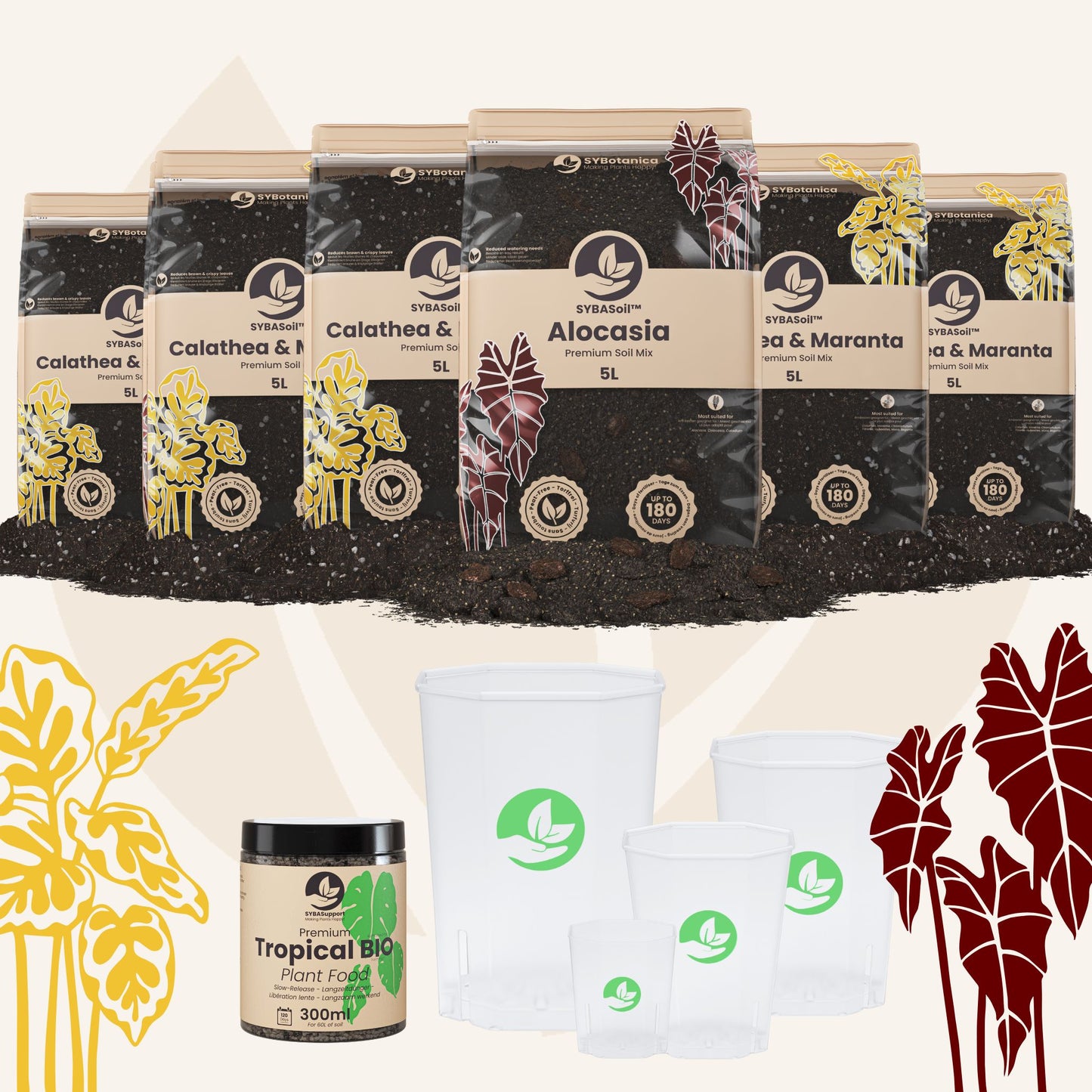 Willkommens-Bundle Tropischer Dschungel