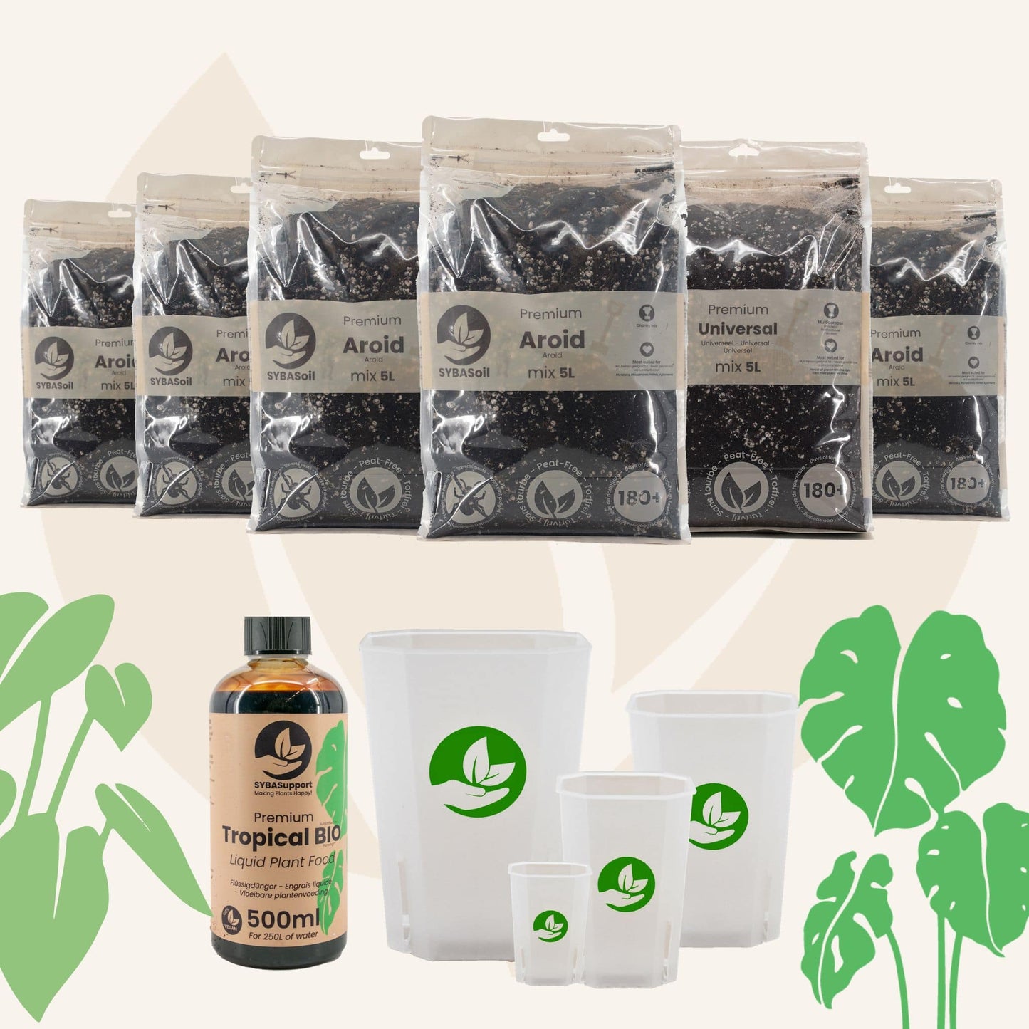 Monstera & Philodendron Welcome Bundle