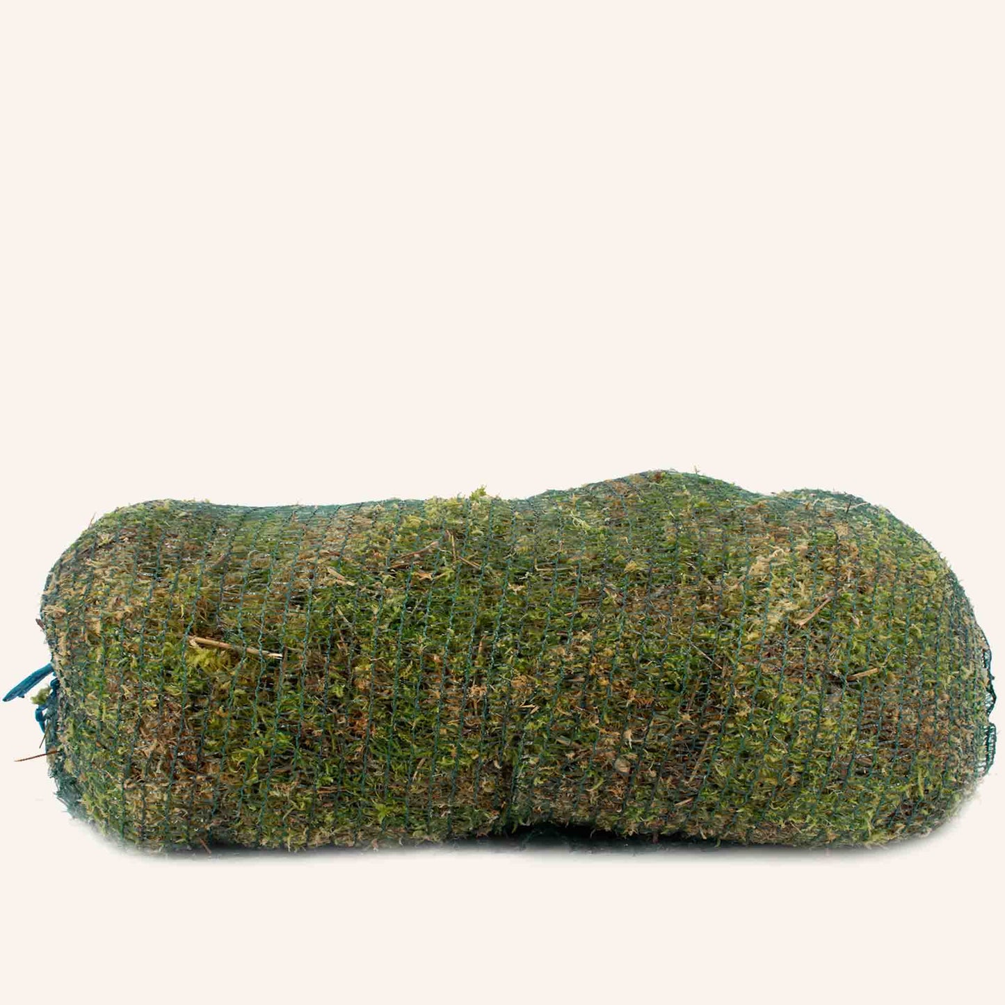Sphagnum Moss