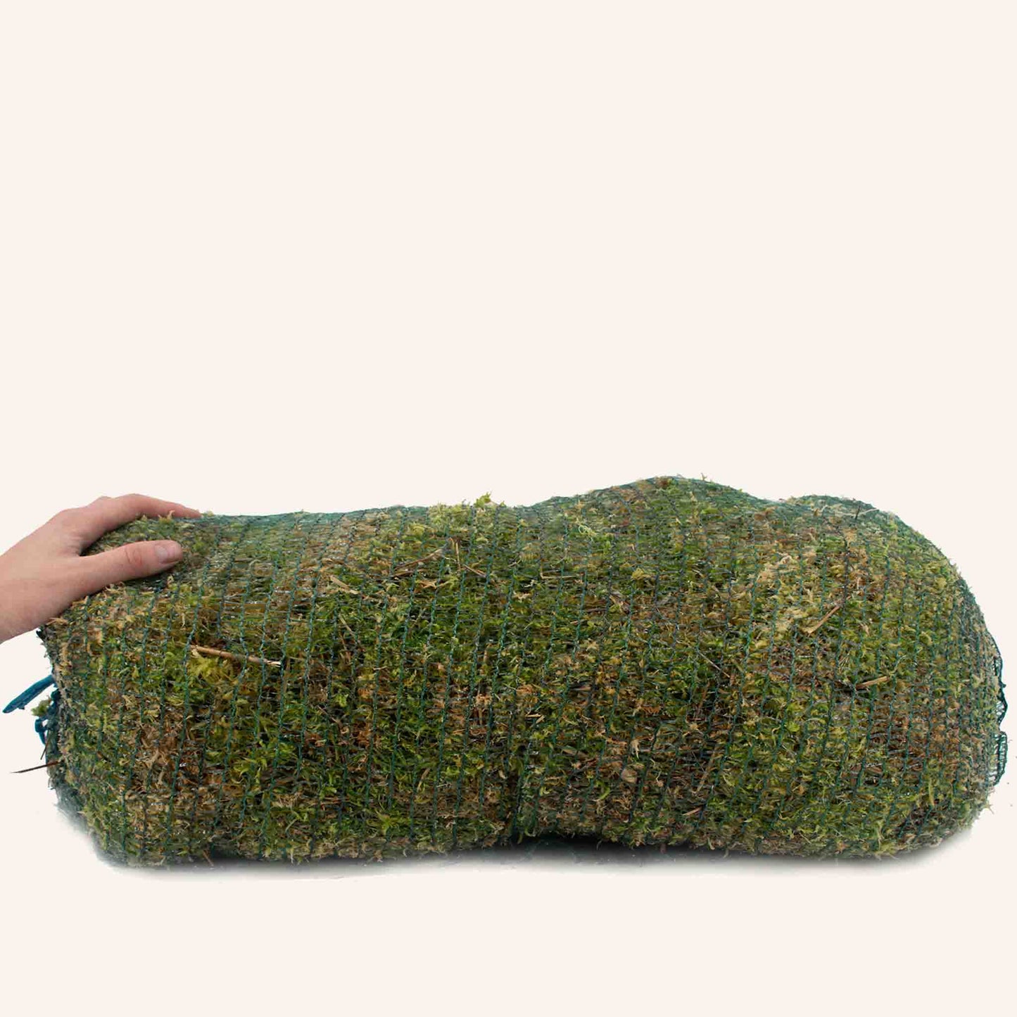 Sphagnum Moss