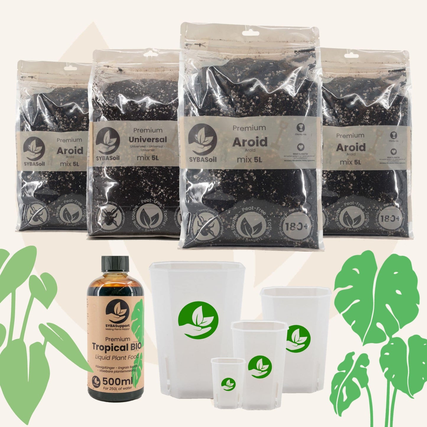 Monstera & Philodendron Welcome Bundle
