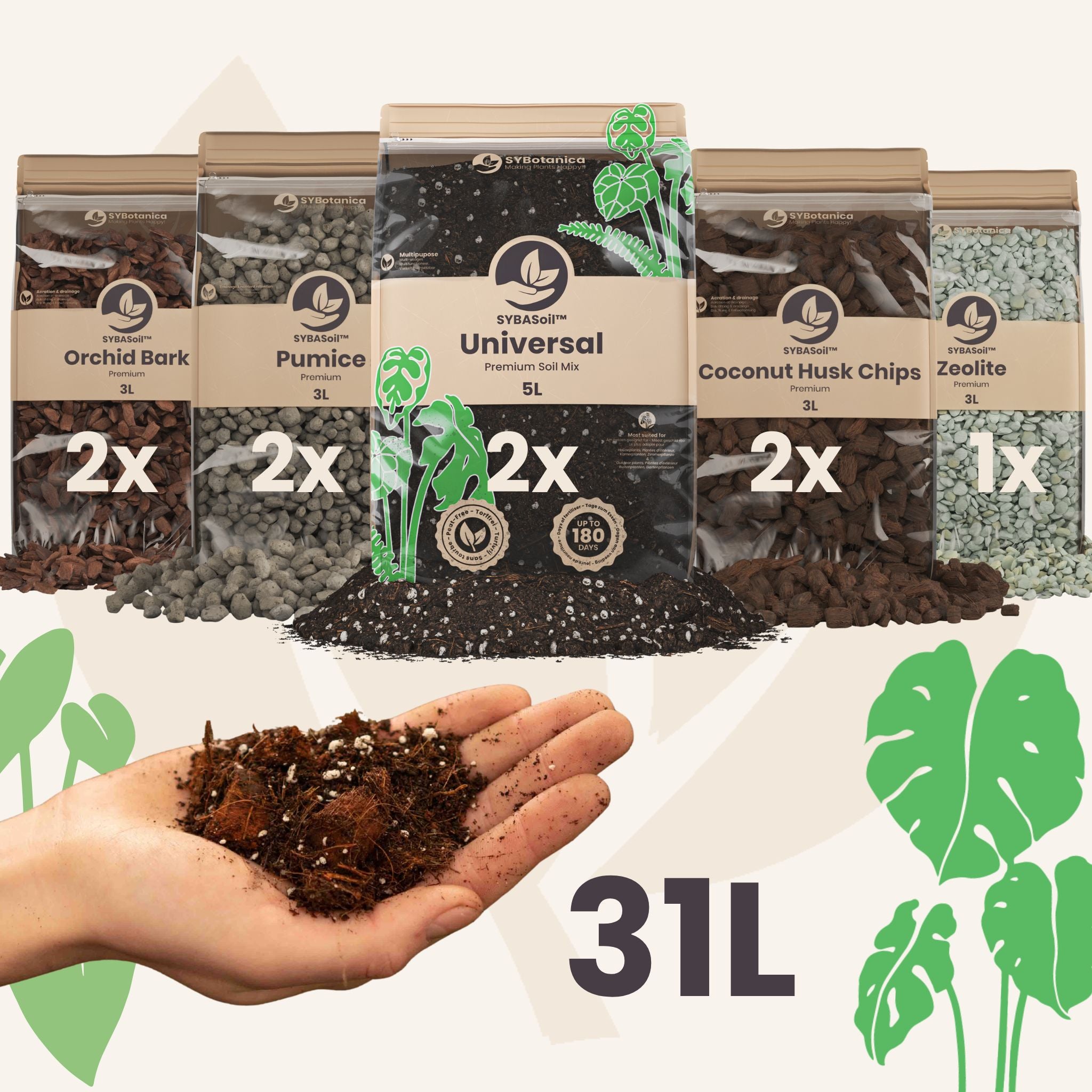 Buy DIY Aroid Mix Bundle ✓ Shipped quickly – Sybotanica