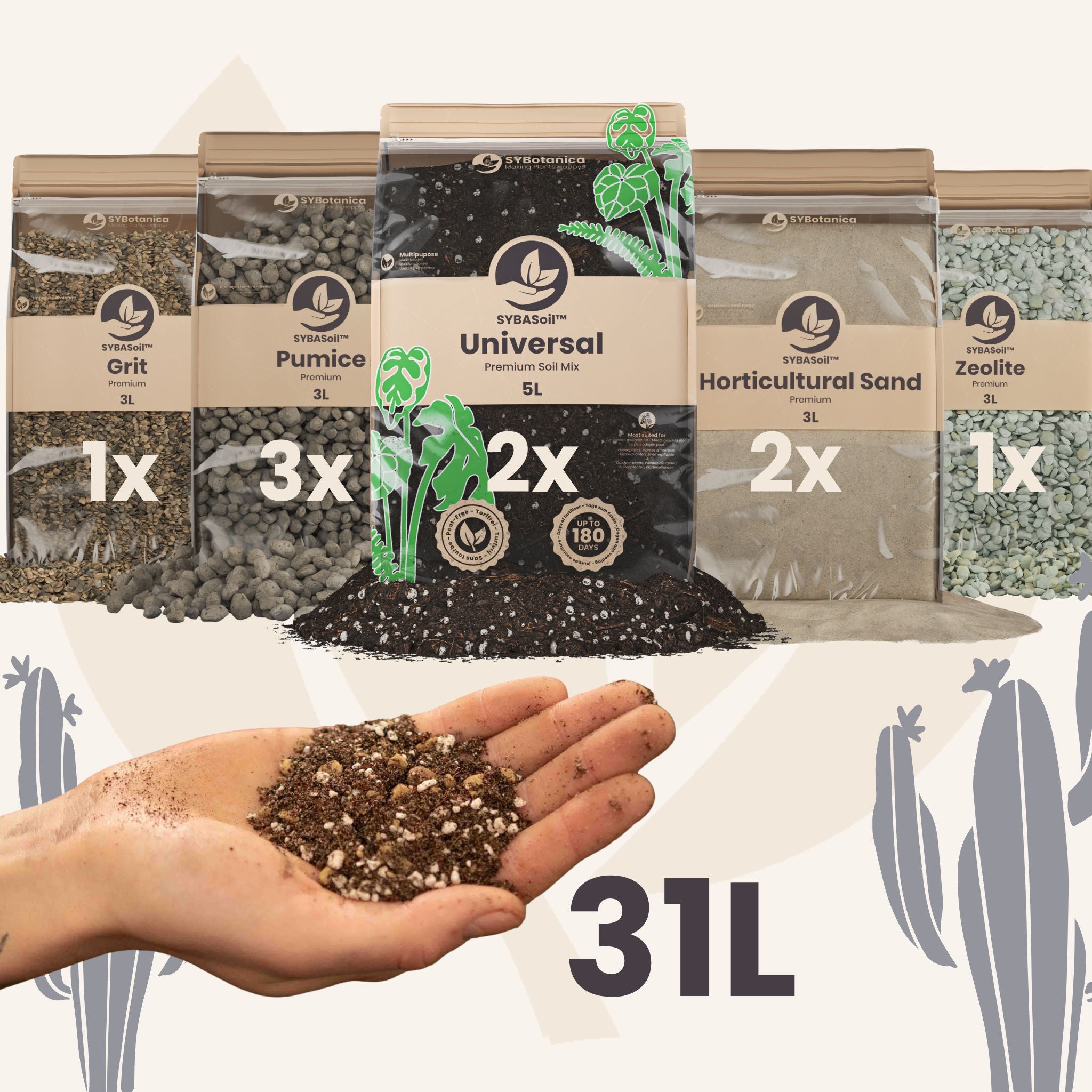 sand for planting seeds Buy DIY Desert Mix Bundle? ✓ Shipped quickly – Sybotanica