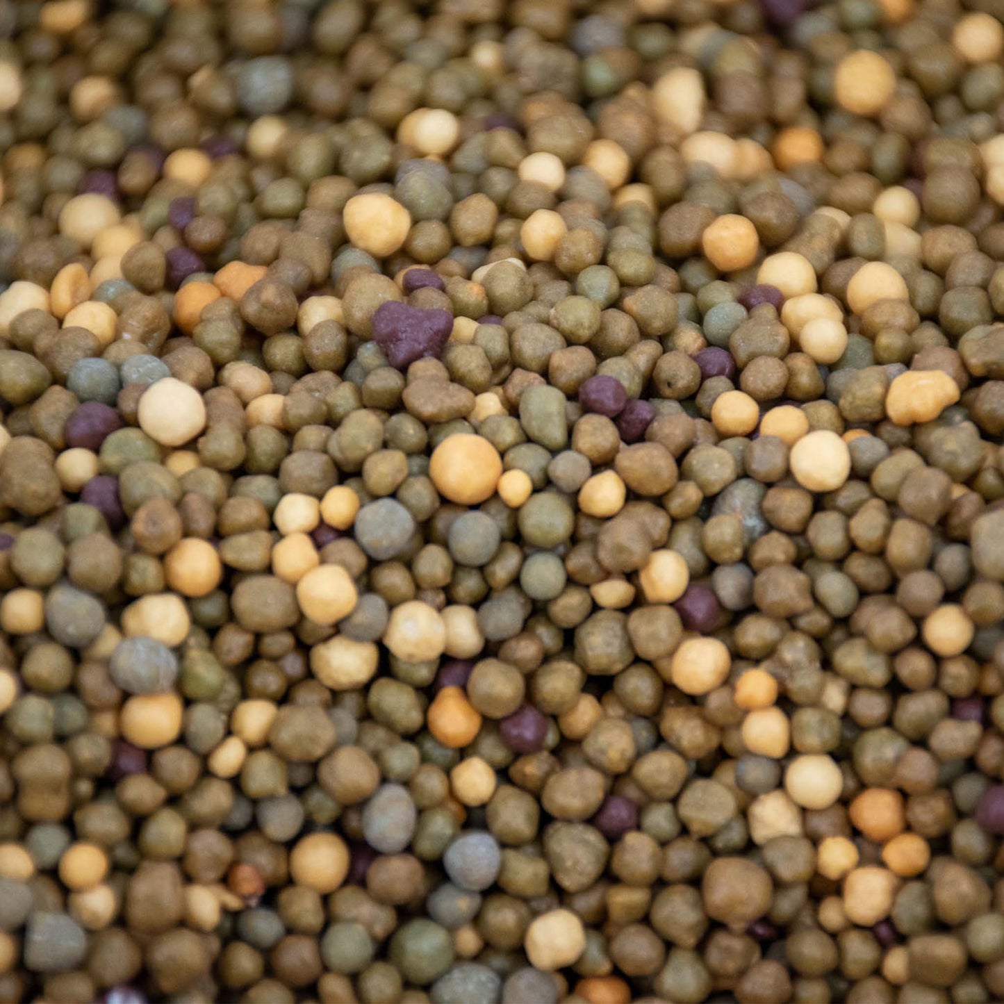 Cacti Slow-Release Plant Food