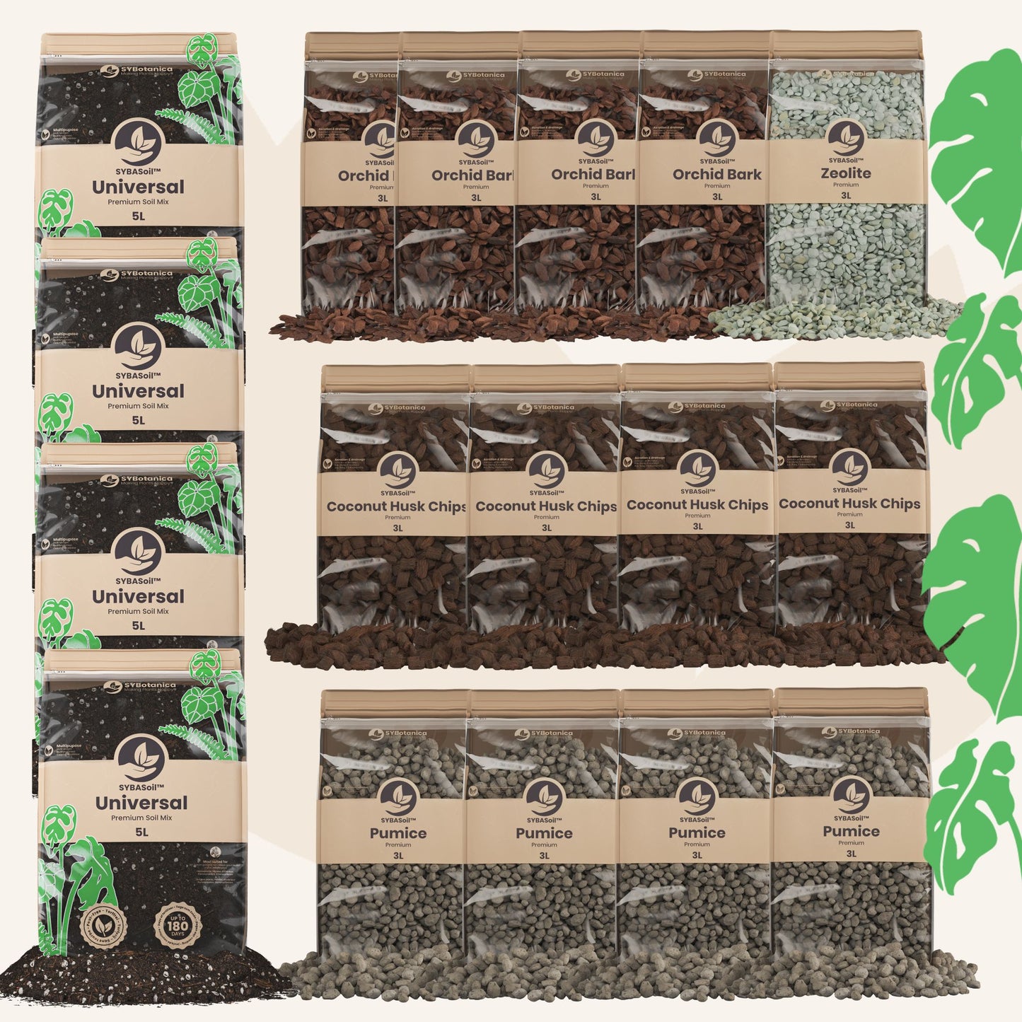 Super pacote DIY para misturas de aroides