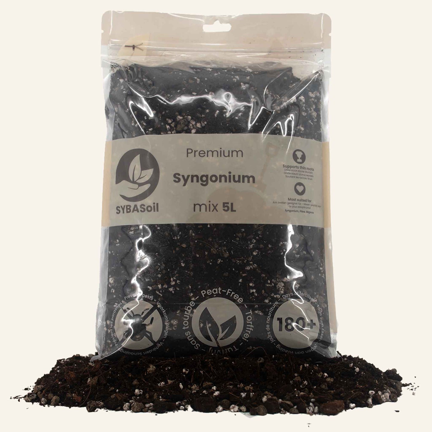 Syngonium Mix