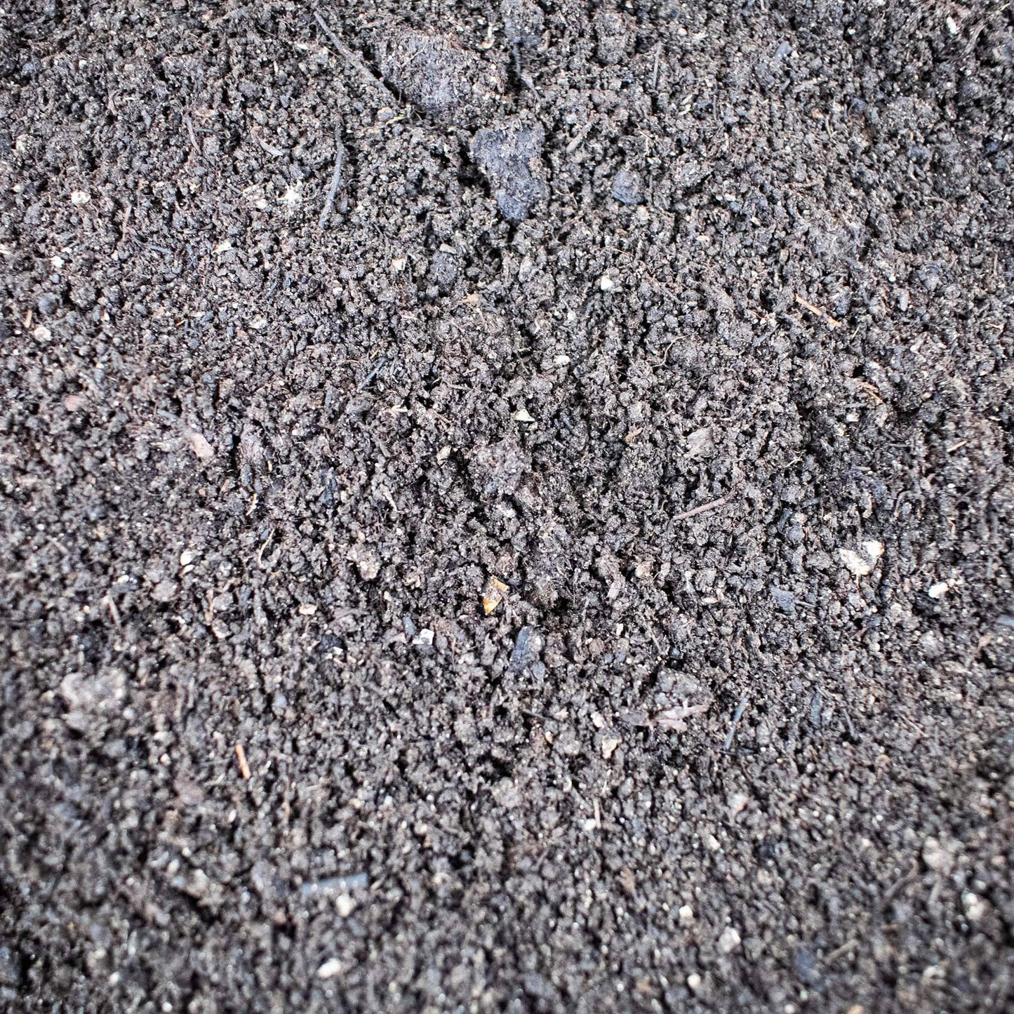 A zoomed in picture showing worm castings.