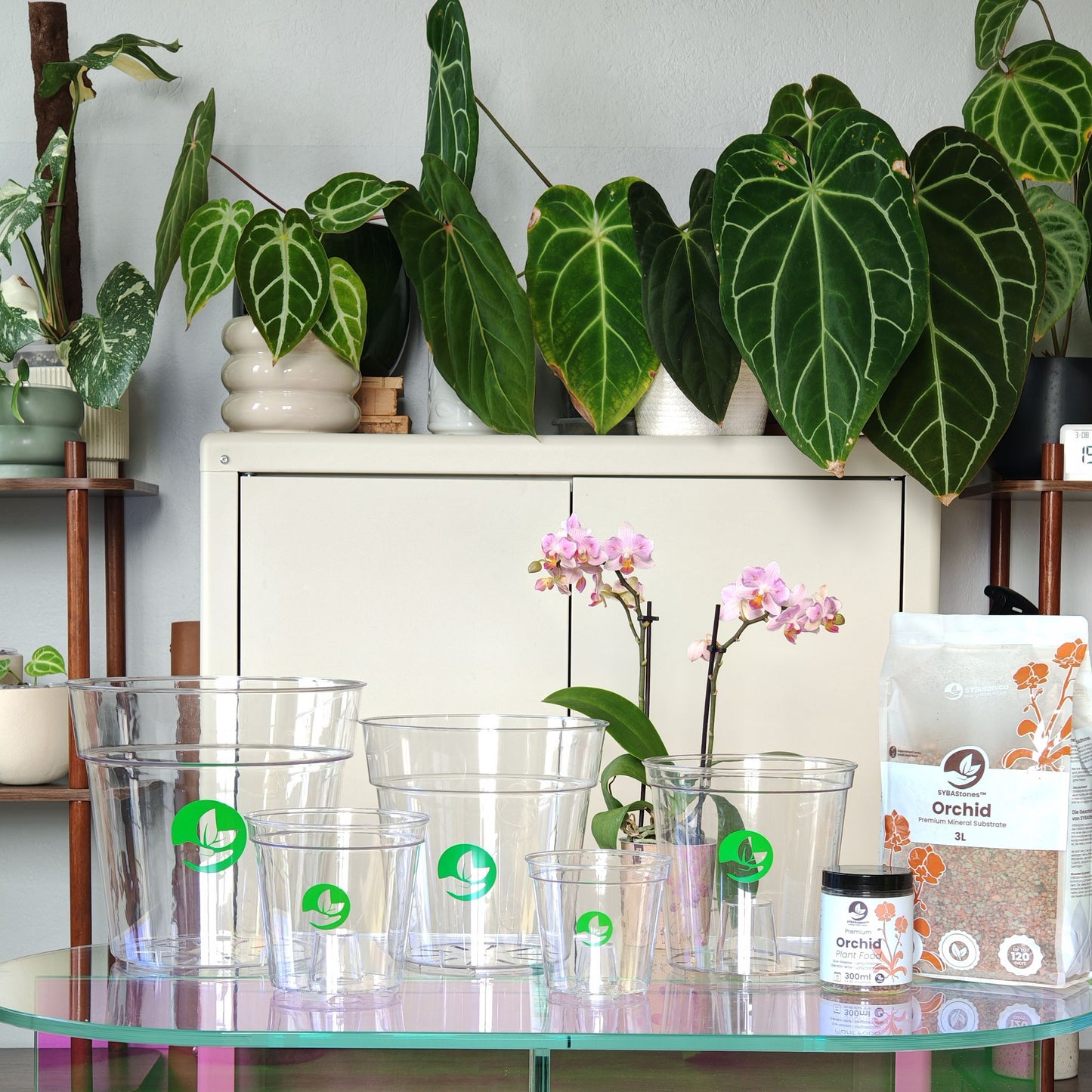 PRISM Clear Plant Pots