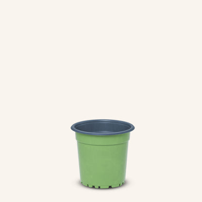 Green Nursery Pot