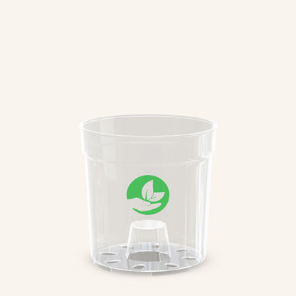 PRISM Clear Plant Pots