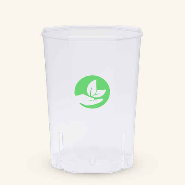 Pflanzentöpfe Für Wohnung Und Büro 2er-Set Durchsichtige Pflanztöpfe – 24 Cm, Mit Abflussloch, Aus Kunststoff – Ideal Für Sukkulenten, Kakteen & Kleine Pflanzen