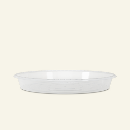 Clear Saucer