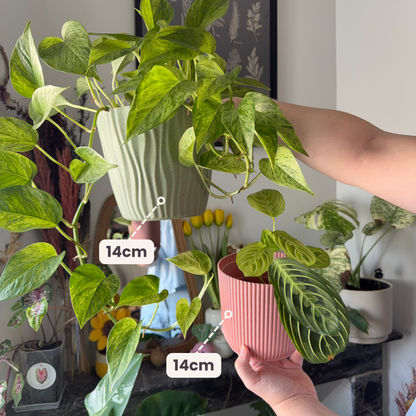 River - Biobasierte Pflanztöpfe