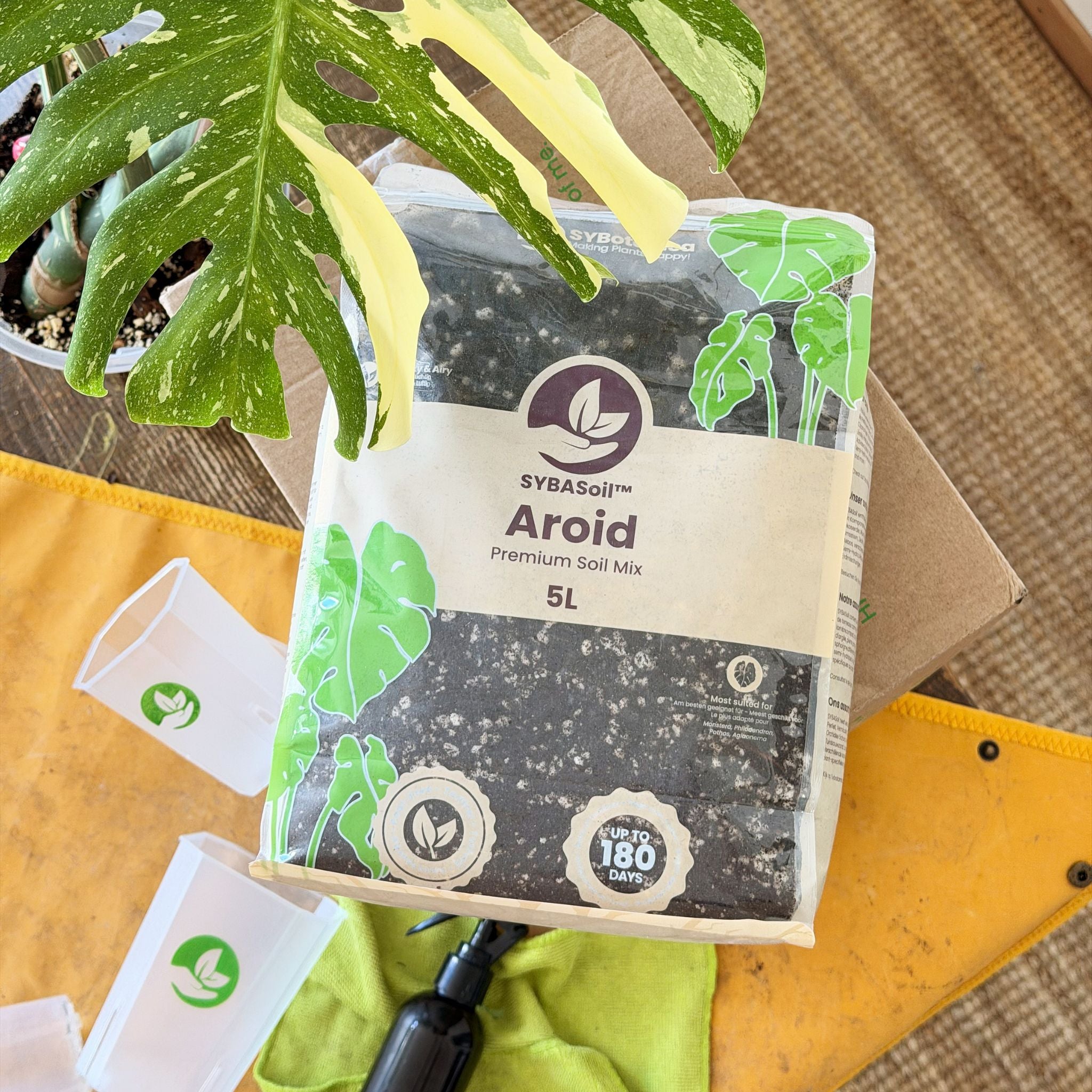 Universal Welcome Bundle – Sybotanica