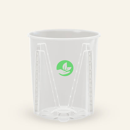 Grote doorzichtige plantenpot