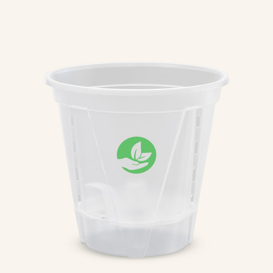 Clear Self-Watering Plant Pots