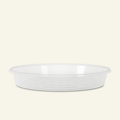 Clear Saucer
