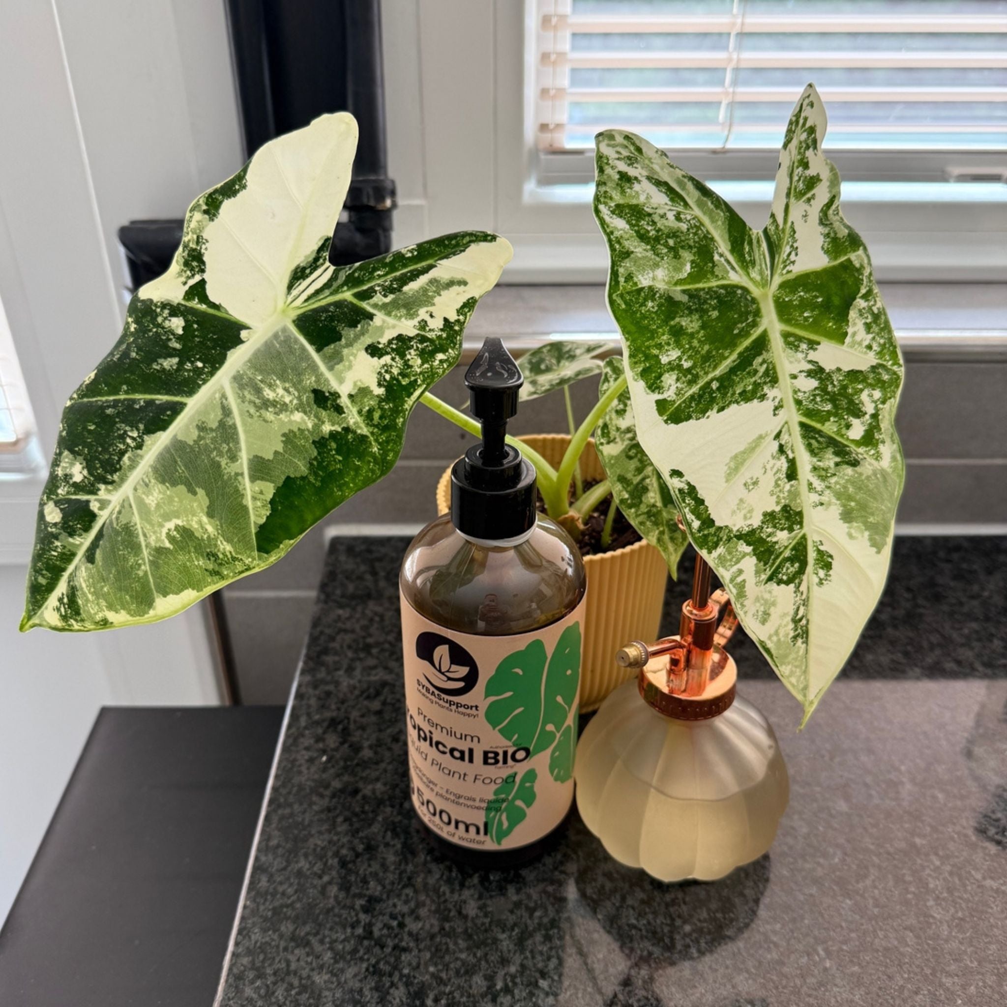 BudGuru Fertilizzante Organico Liquido 1L - Tutto In Uno Per Piante Da Interno/Esterno, Con Dosatore, Per Crescita E Fioritura, NPK Bilanciato