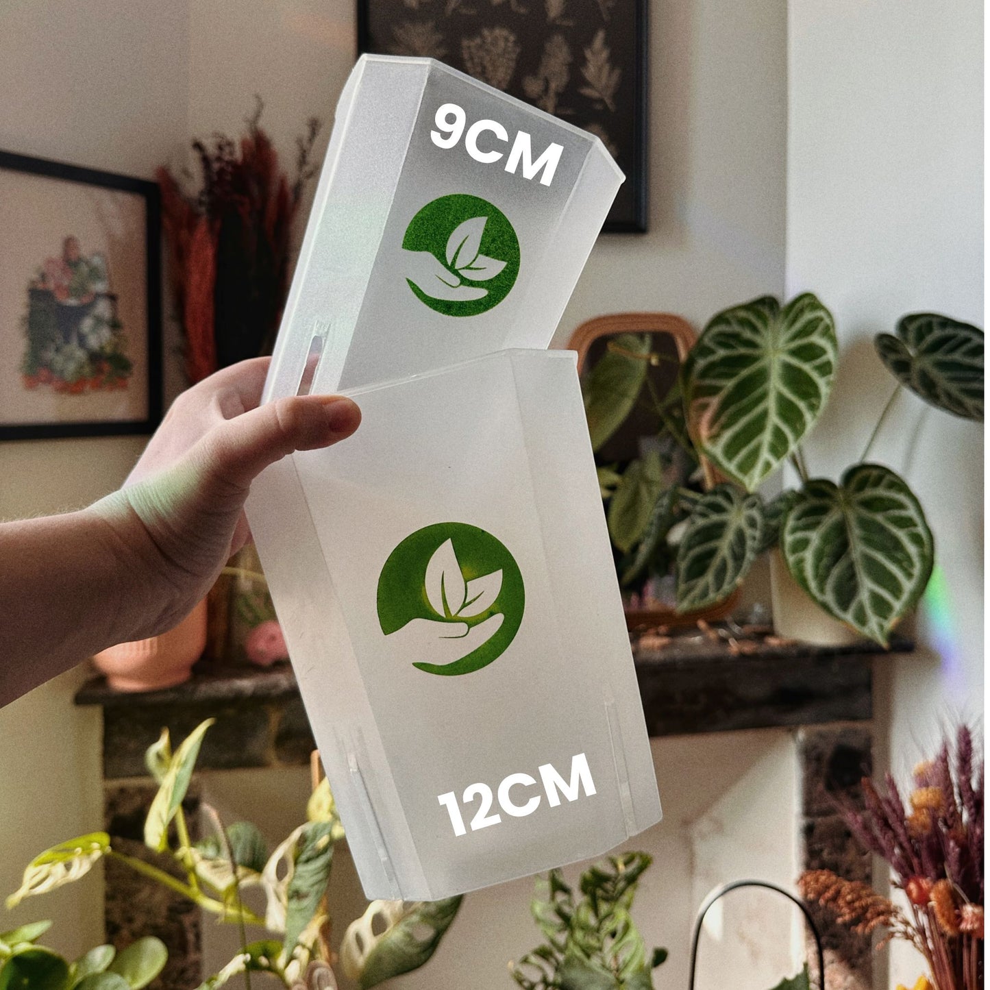 Square Clear Plant Pots