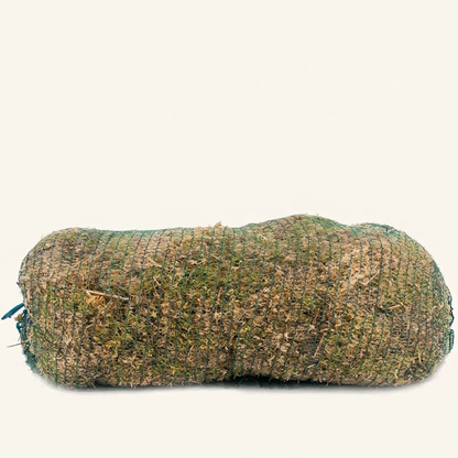 Sphagnum Moss