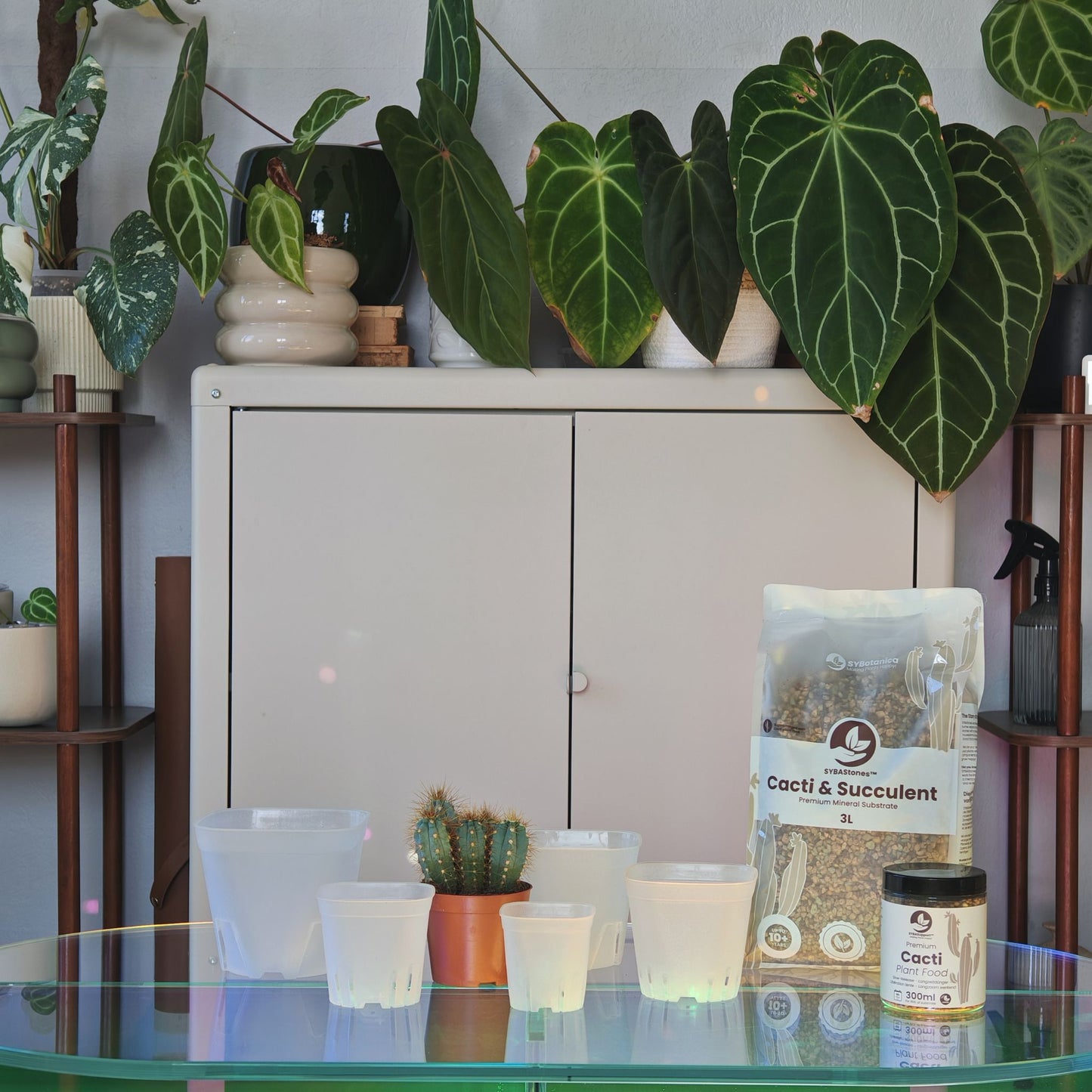 Mistura Mineral Para Cactos e Suculentas