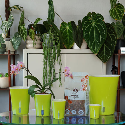 Mistura Mineral Para Orquídeas