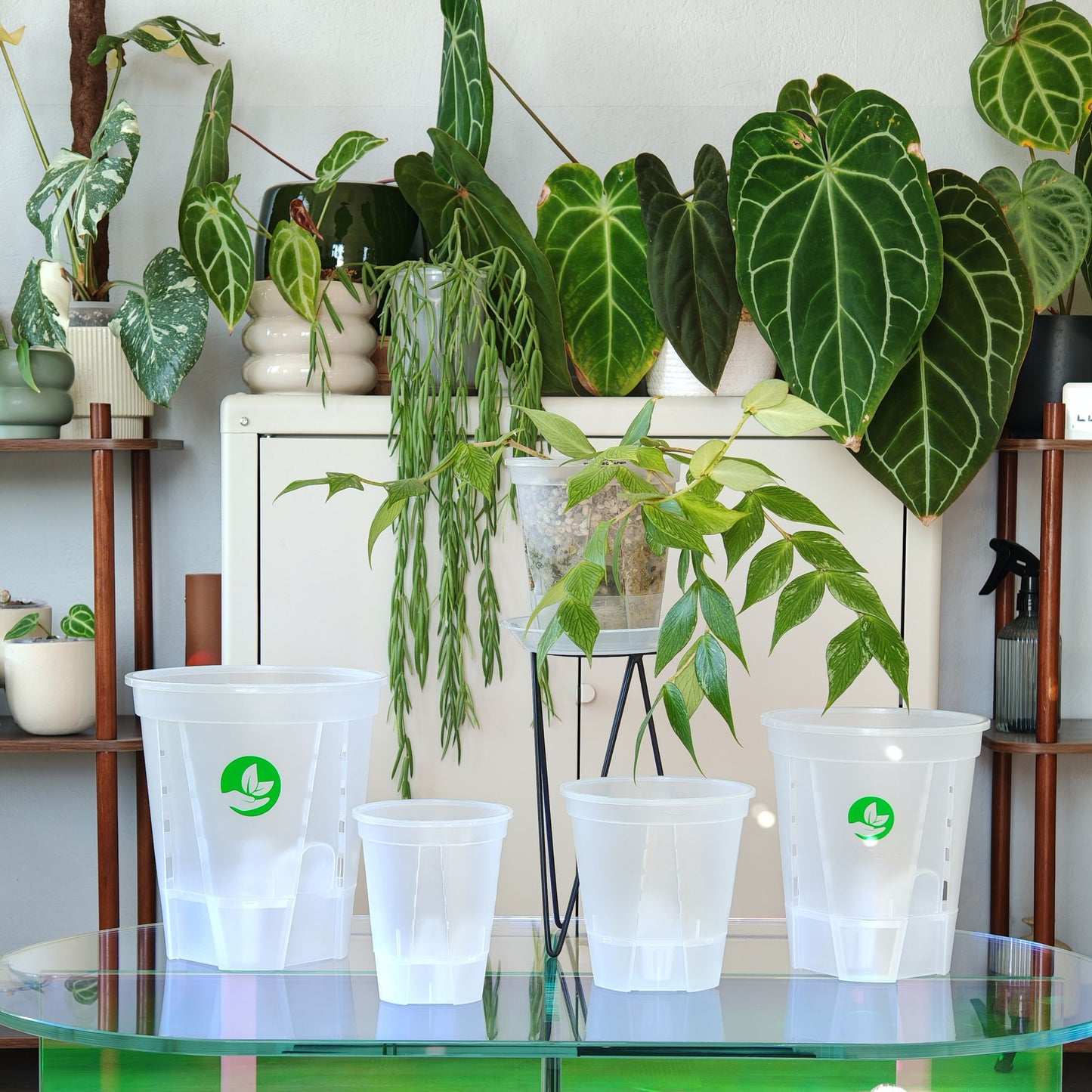 Zelfwaterende doorzichtige plantenpot