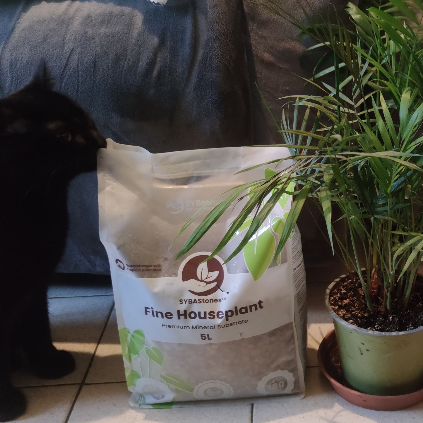 Mistura mineral fina para plantas de interior