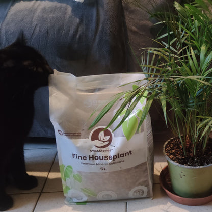 Mistura mineral fina para plantas de interior