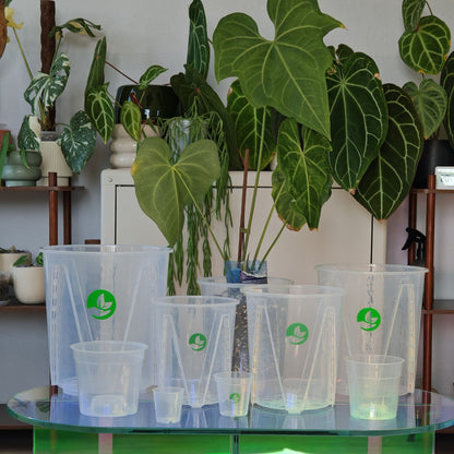 Grand pot à plantes transparent