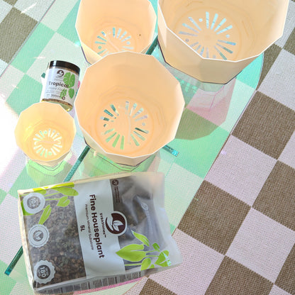 Pot avec réserve d eau hex