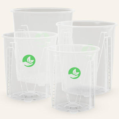 Grote doorzichtige plantenpot