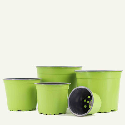 Green nursery pot