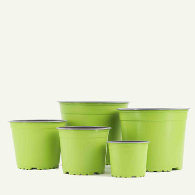 Green nursery pot