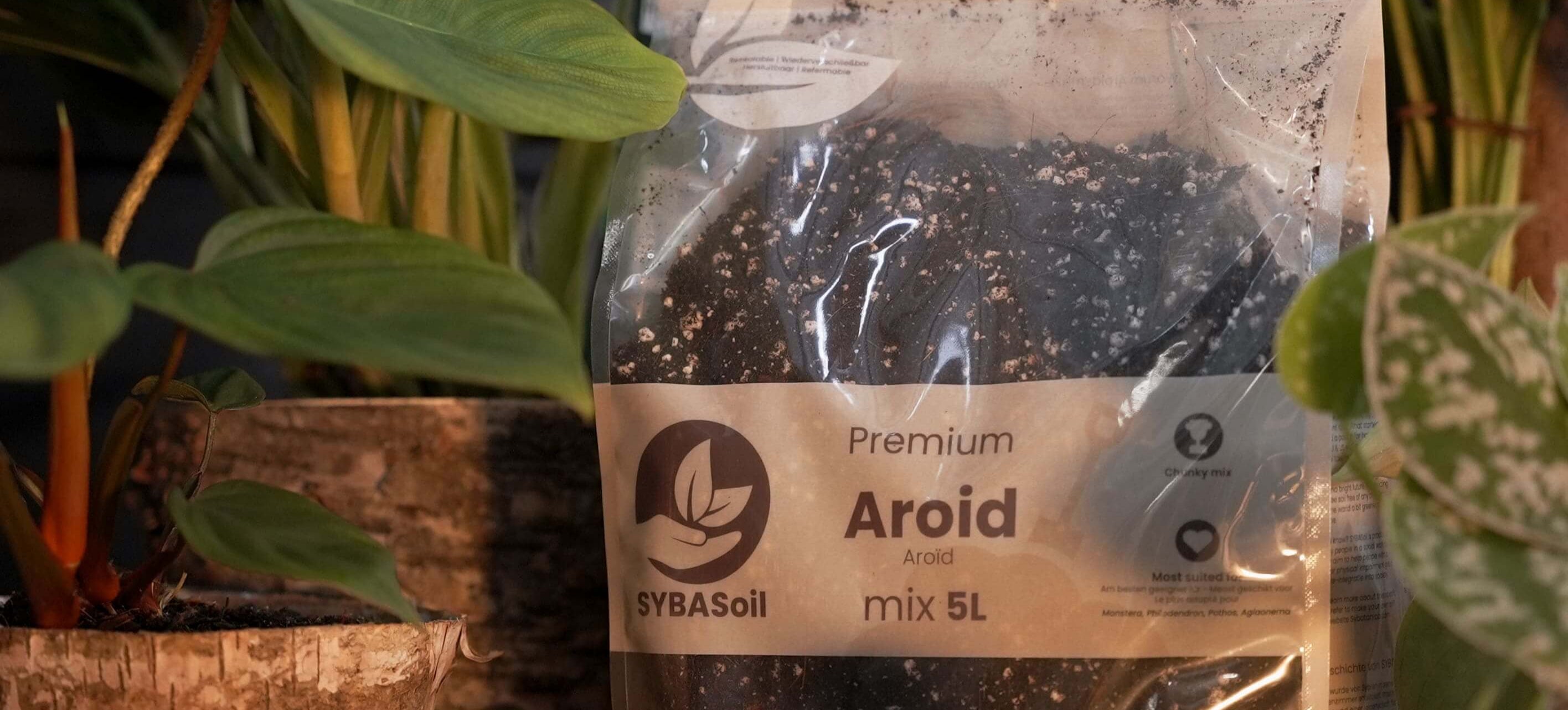 VERMICULITE 1 LITRO BIOKI MIGLIORA LA GERMINABILITA' DEI SEMI