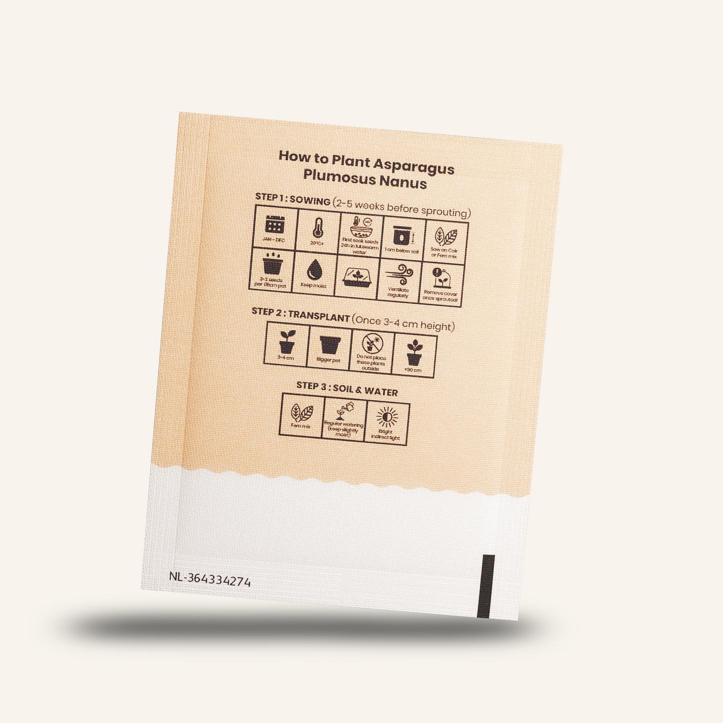Card with icons explaining asparagus fern planting steps