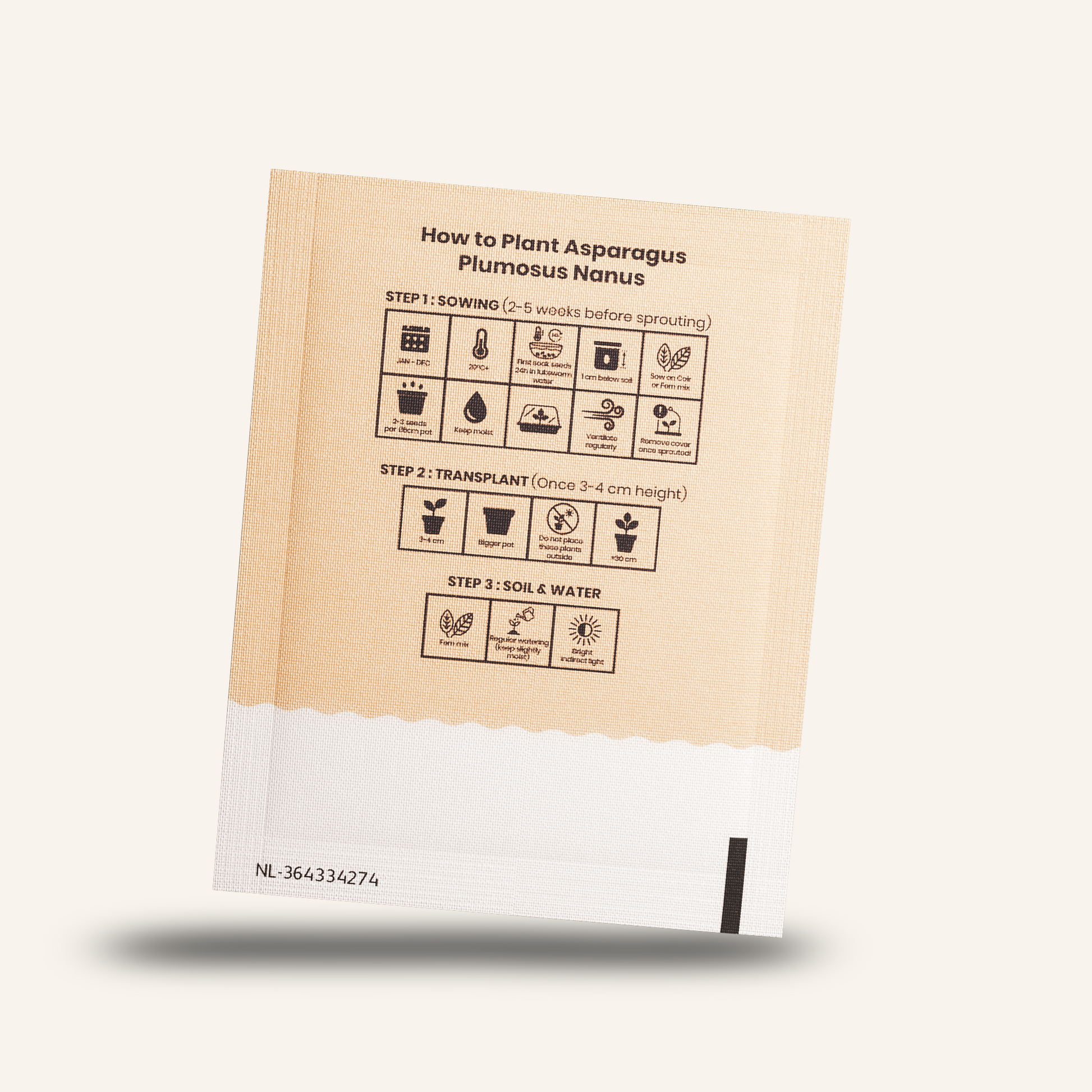Card with icons explaining asparagus fern planting steps