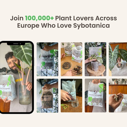 Chunky Houseplant Mineral Mix