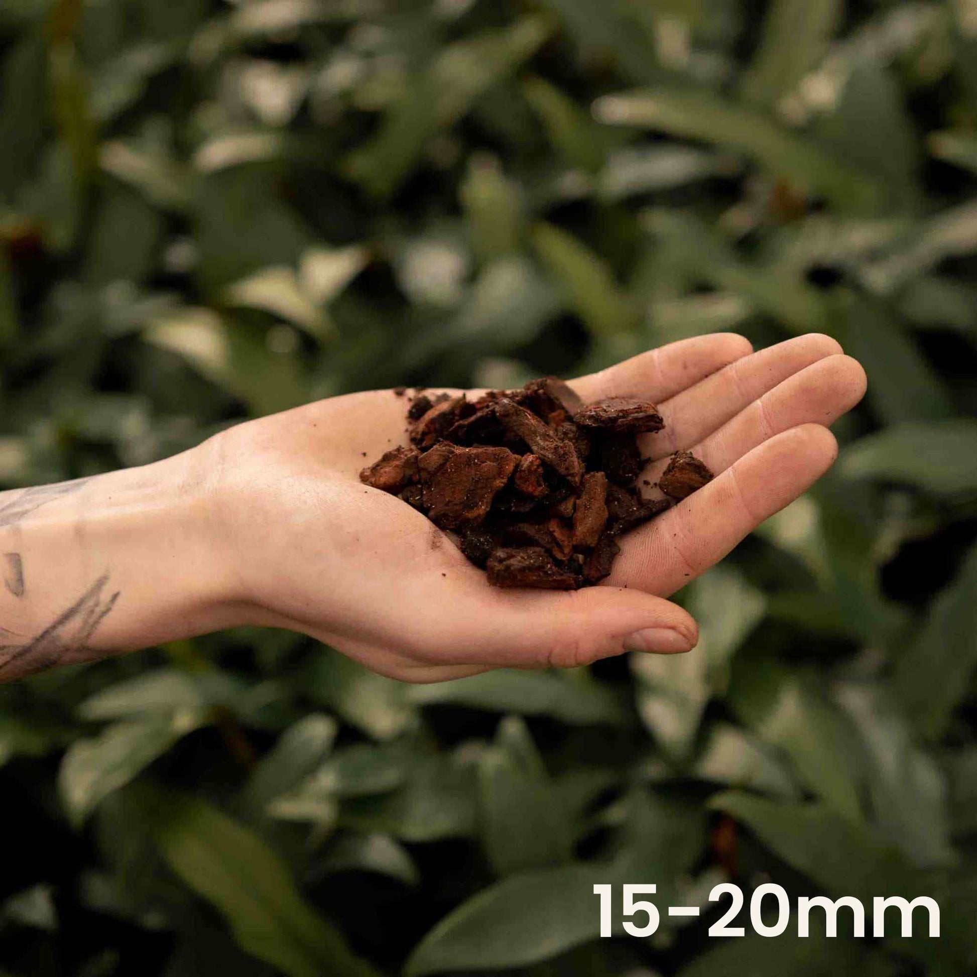 orchid bark for snake plant Buy Orchid Bark? ✓ Shipped Quickly ✓ Small & Thick Bark – Sybotanica