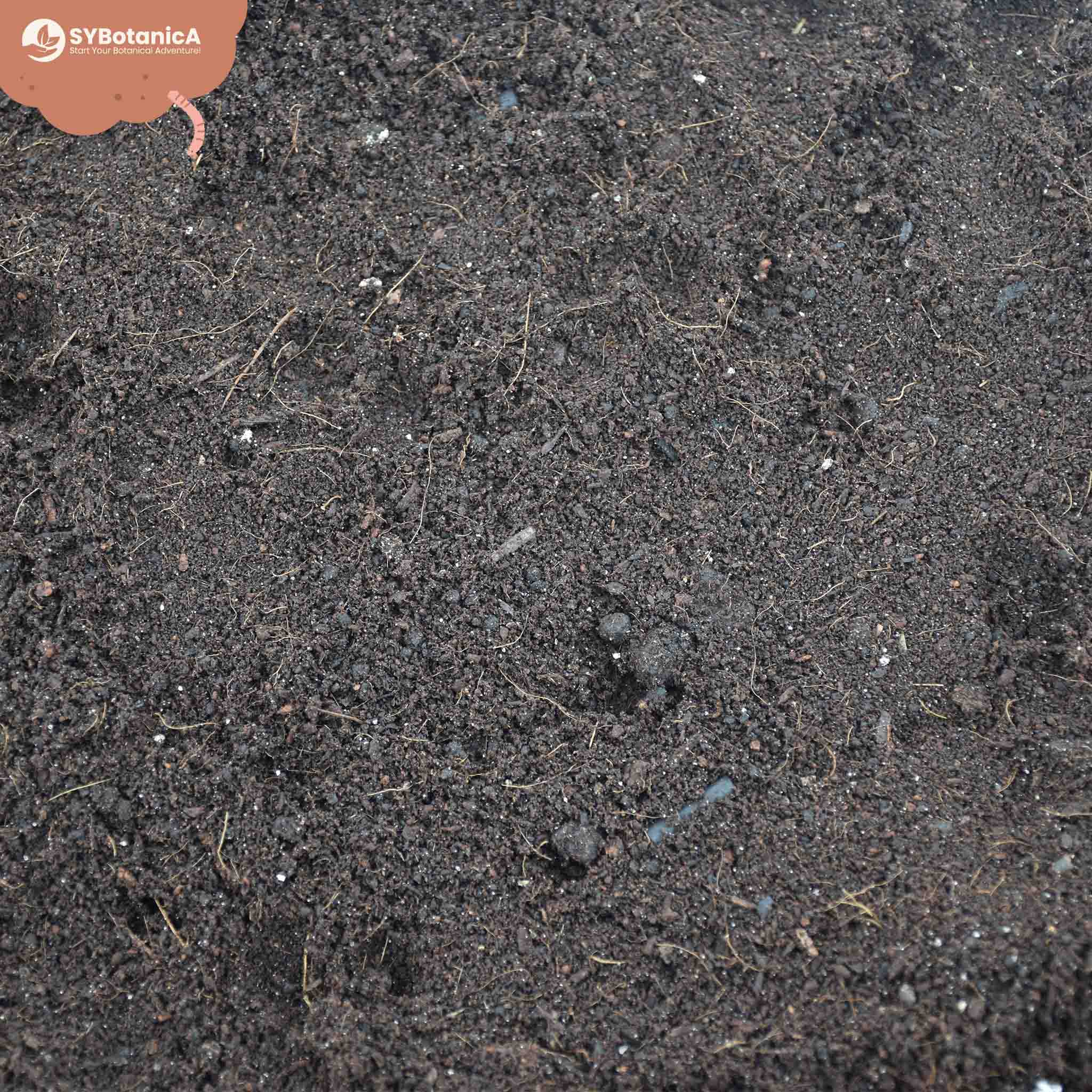 Buy Base mix for Soil Mix? ✓ Fast shipping – Sybotanica