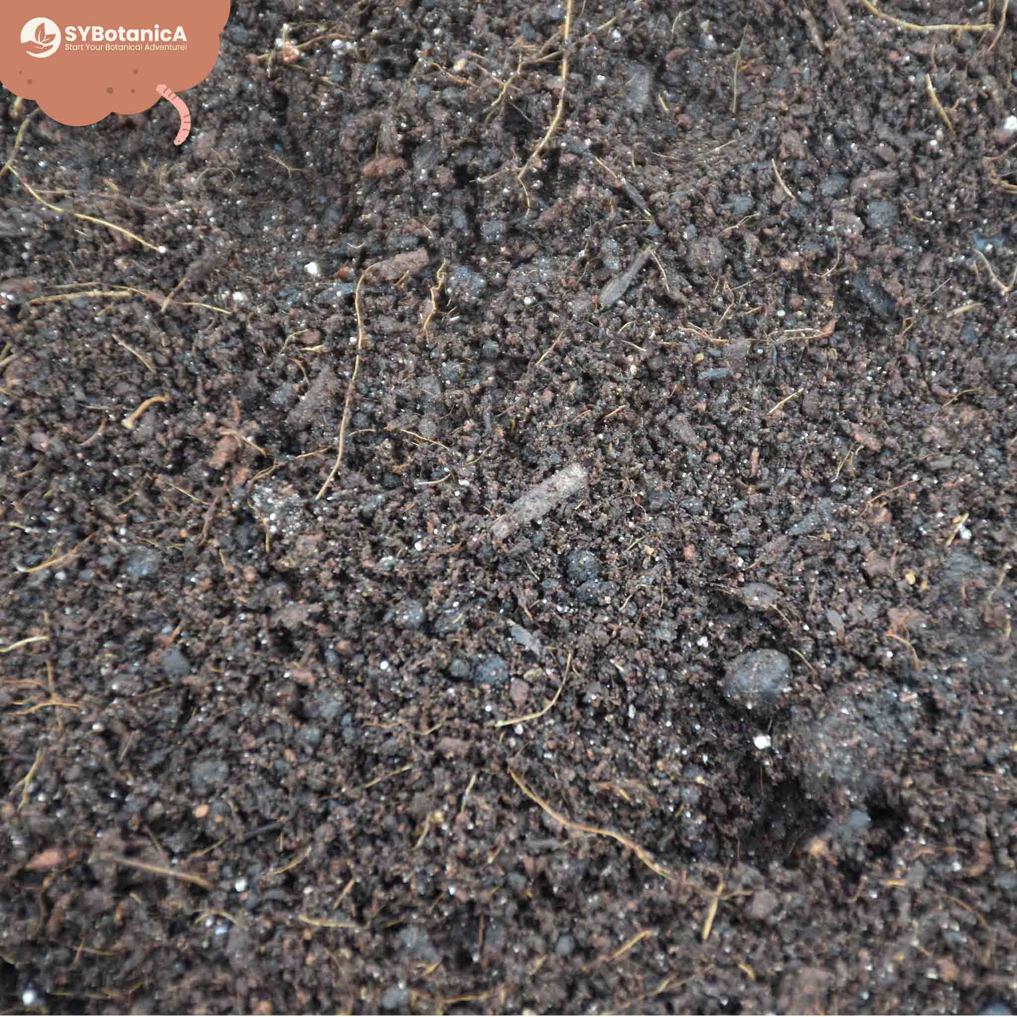 Buy Base mix for Soil Mix? ✓ Fast shipping – Sybotanica